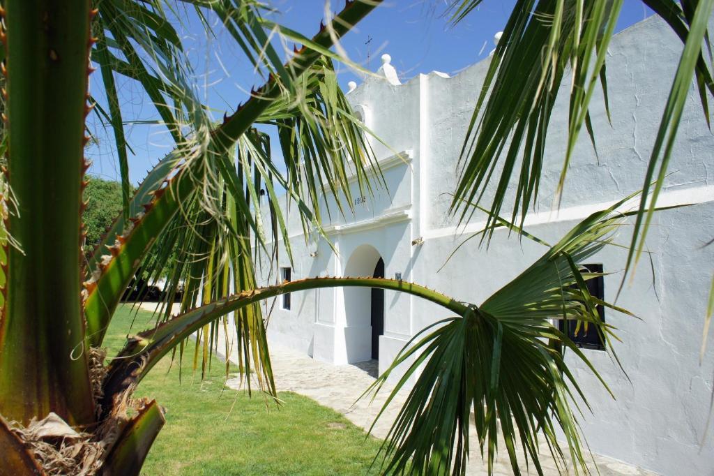Cortijo El Indiviso Casa de hóspedes Vejer de la Frontera Exterior foto